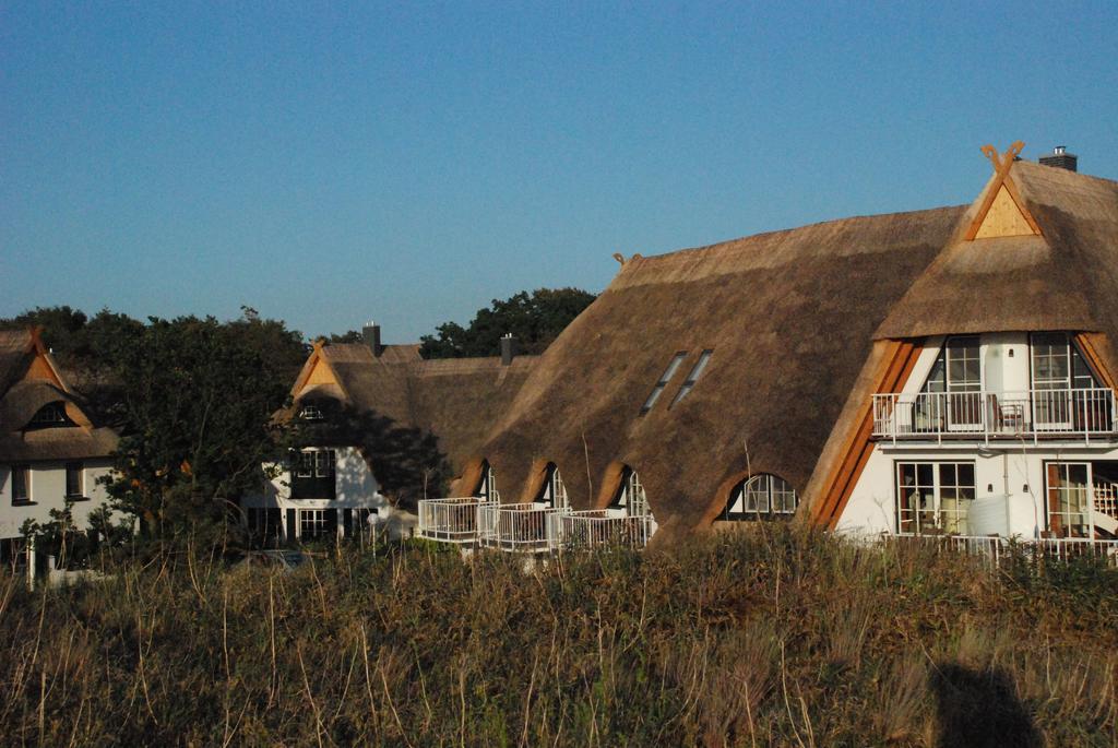 Dünenmeer * Dierhagen