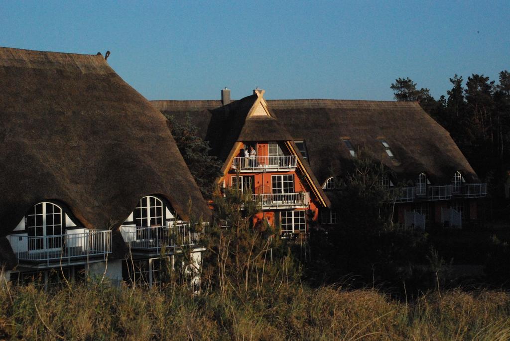 Dünenmeer Dierhagen