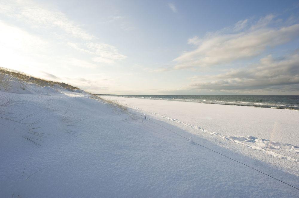 Dünenmeer