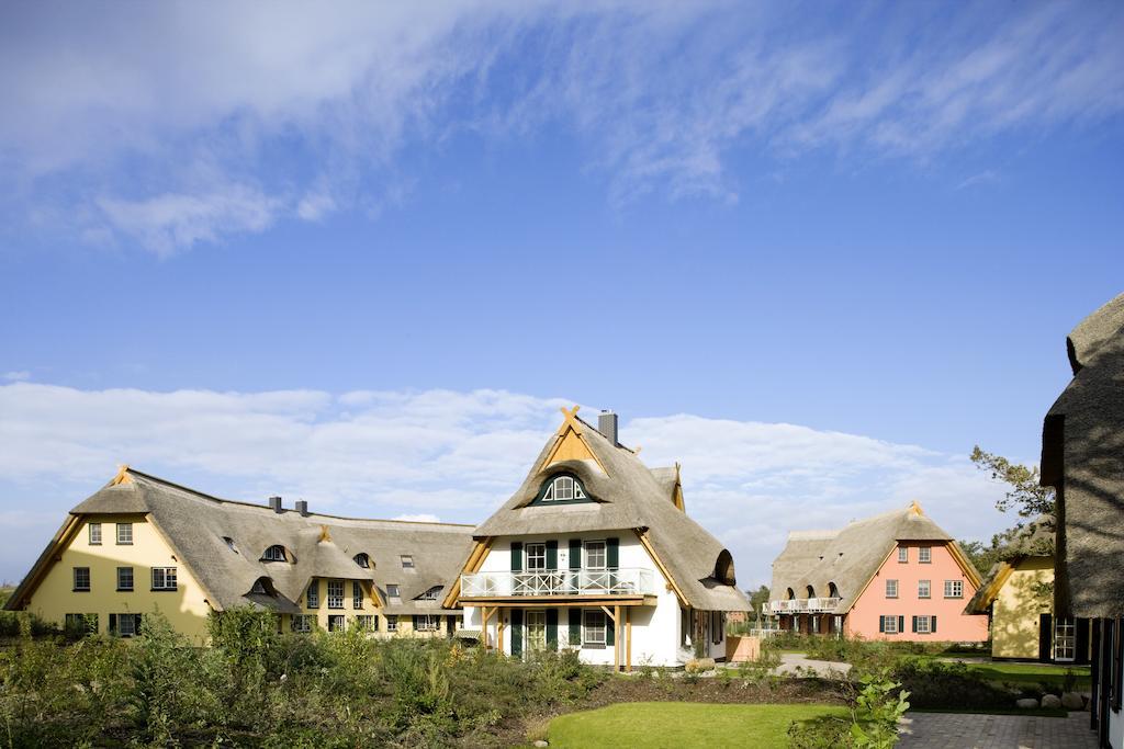 Dünenmeer Dierhagen